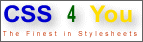CSS 4 You-Logo Gre 2