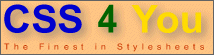 CSS 4 You-Logo Gre 3