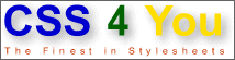 CSS 4 You-Logo Gre 3