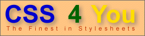 CSS 4 You-Logo Gre 4