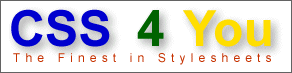 CSS 4 You-Logo Gre 4